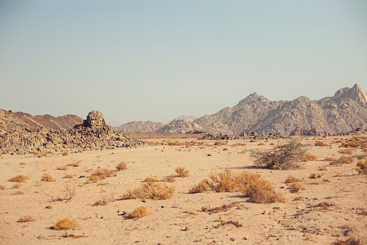 Coastal landscape